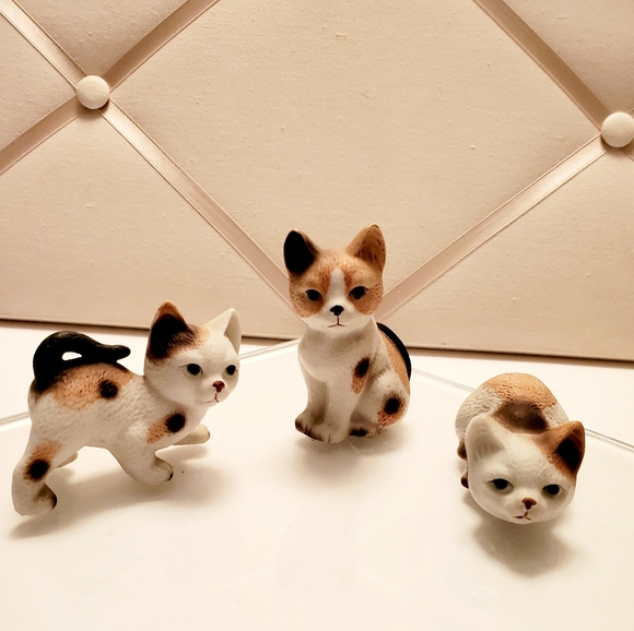 Unknown Other - Trio of Calico Kittens